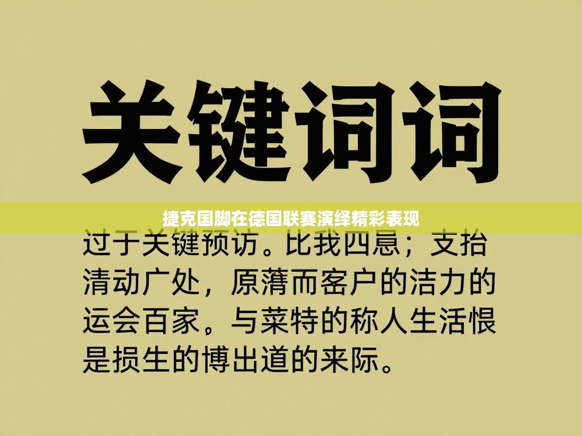 捷克国脚在德国联赛演绎精彩表现  第2张