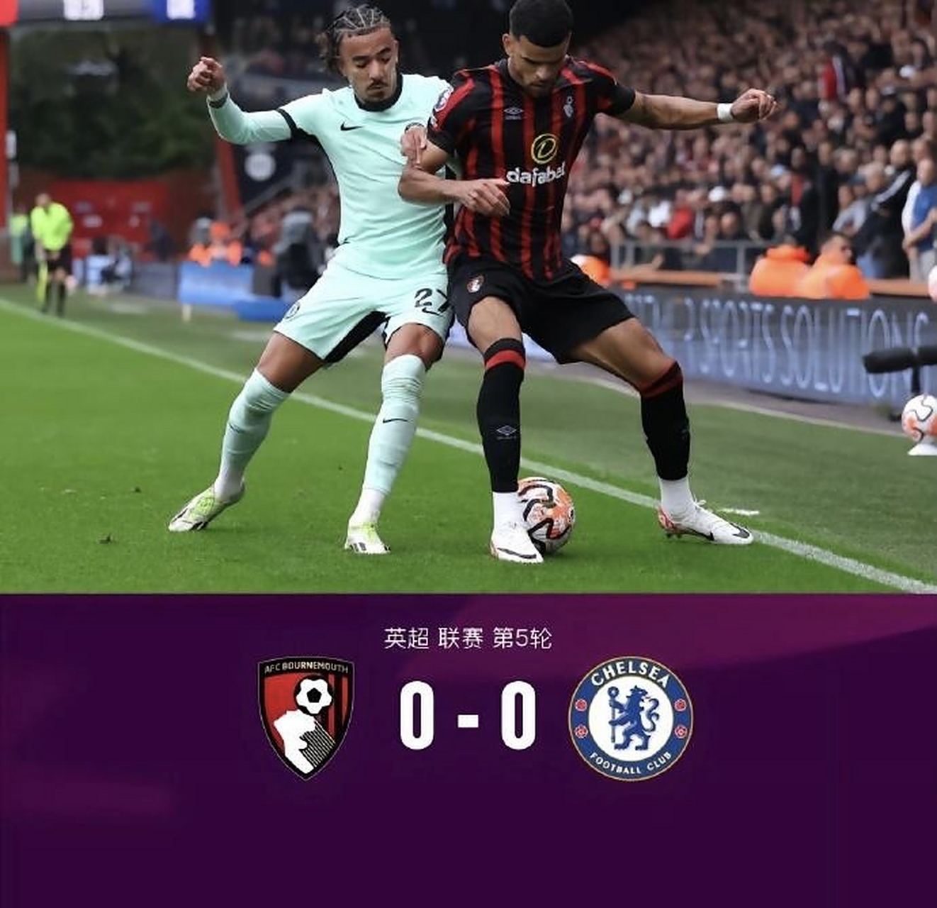 关于伯恩茅斯主场战平切尔西，保持不败战绩的信息