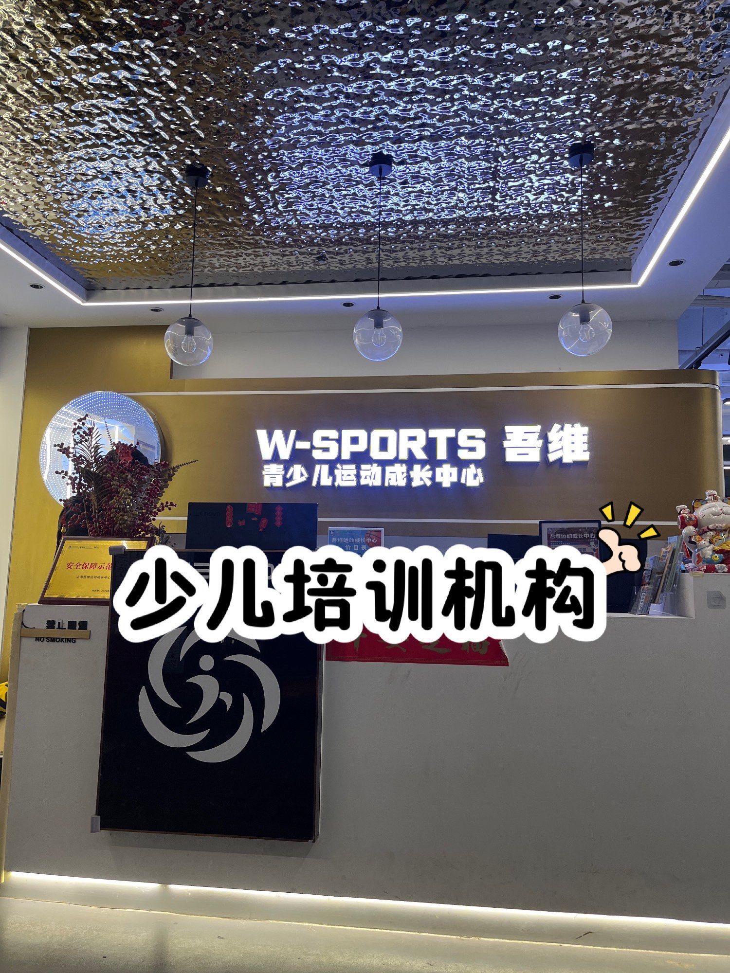 开云体育网页版-法国篮球训练营展示新技术，助力球员提高水平的简单介绍