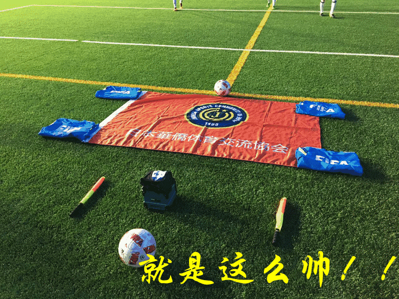 国内足球盛事最新赛场动态报道